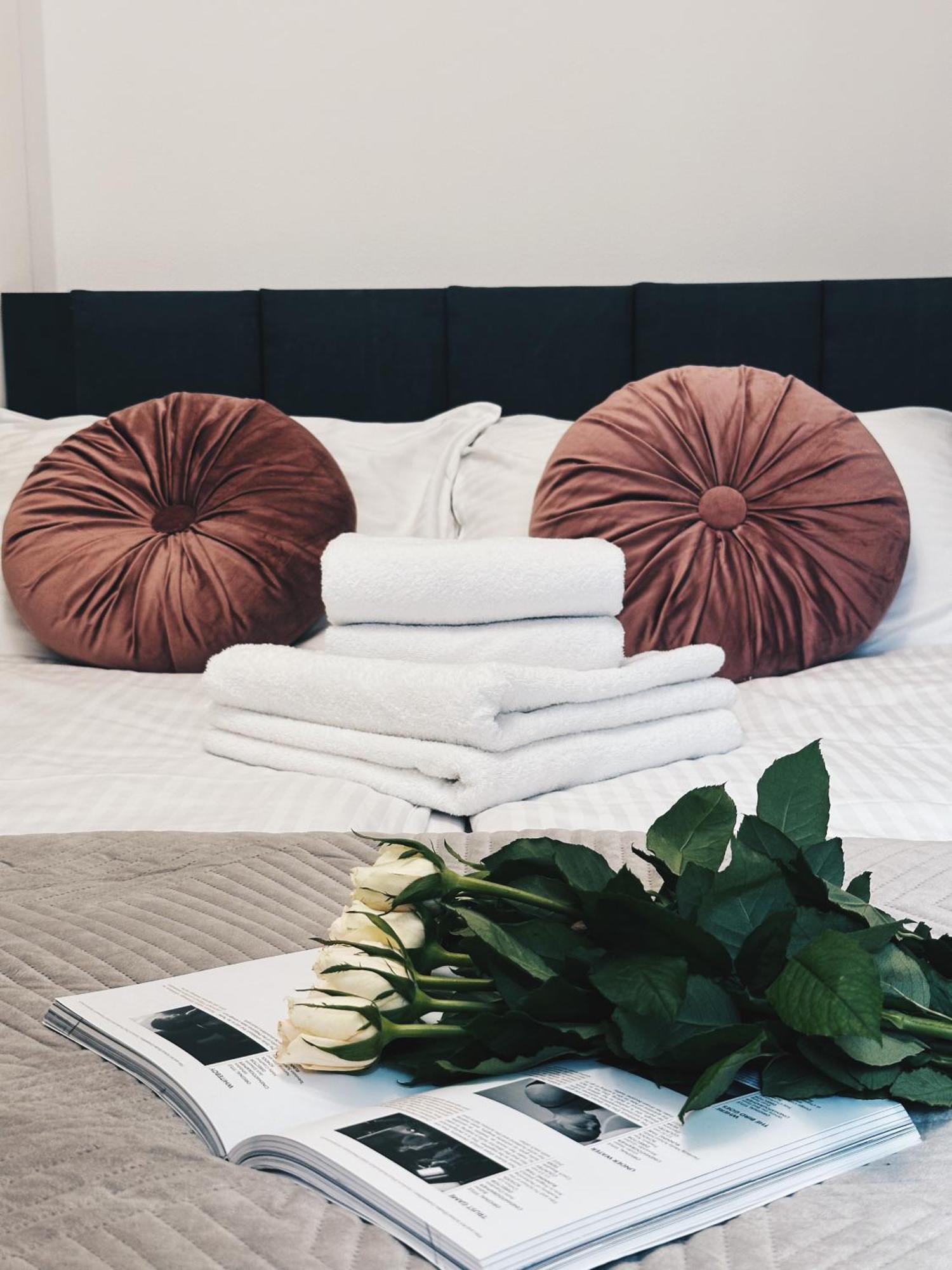 Soft Loft Apartamenty Stary Toruń Εξωτερικό φωτογραφία